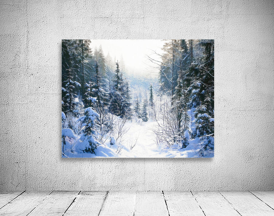 Winter Hiking Trail Wall Preview