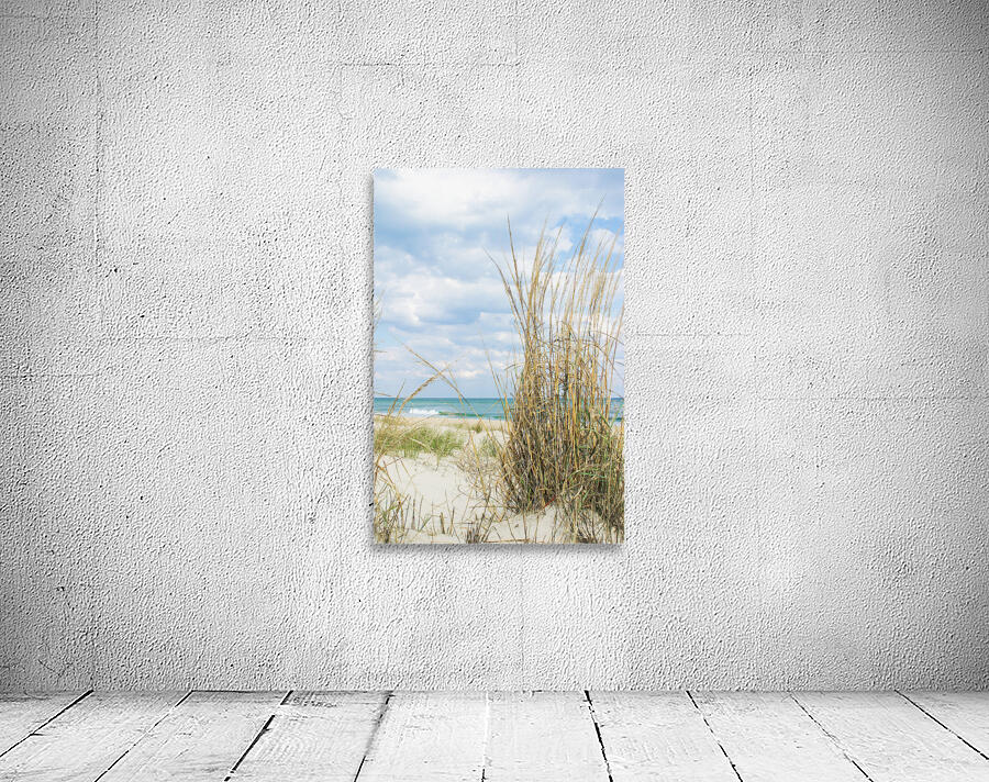 BEACH GRASS  Wall Preview