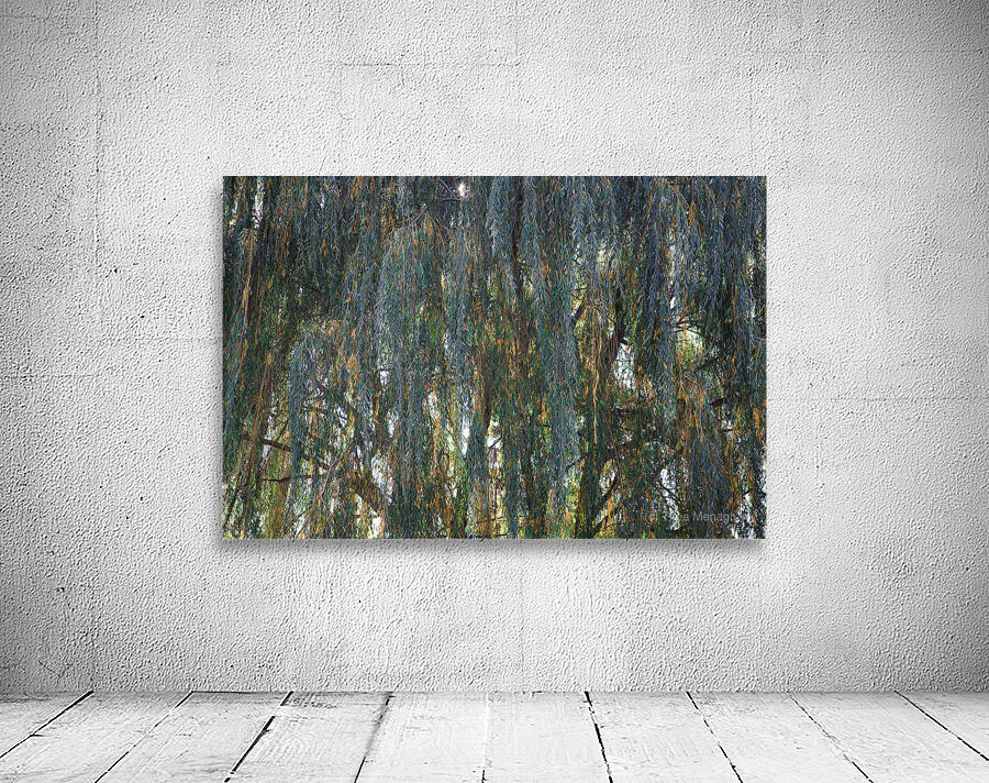 Weeping Willow Near a Stream Wall Preview