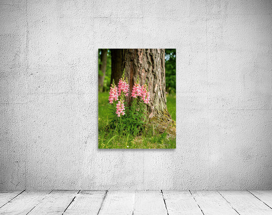 Snapdragon Tree Huggers Wall Preview