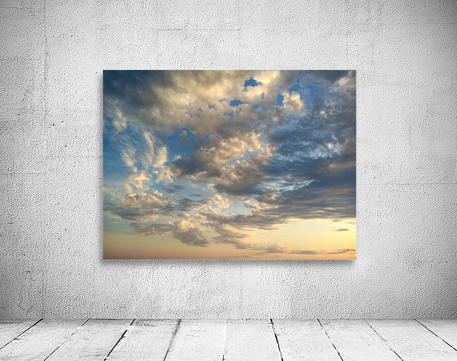 Look Up Often Wall Preview
