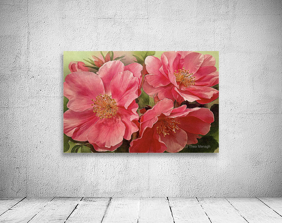 Alberta Wild Roses Wall Preview