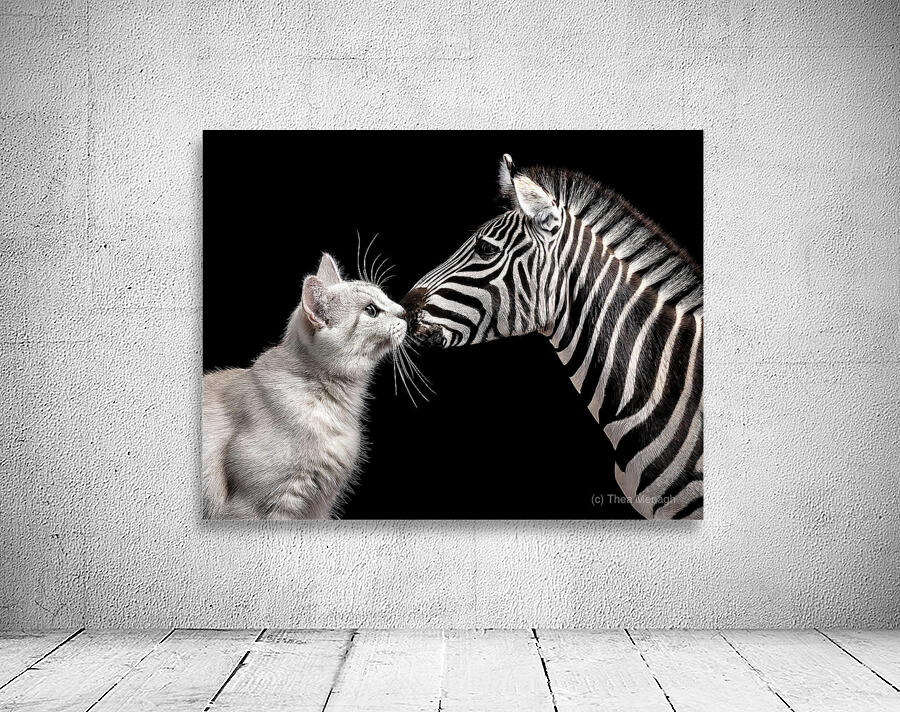 Kissy Kissy Wall Preview