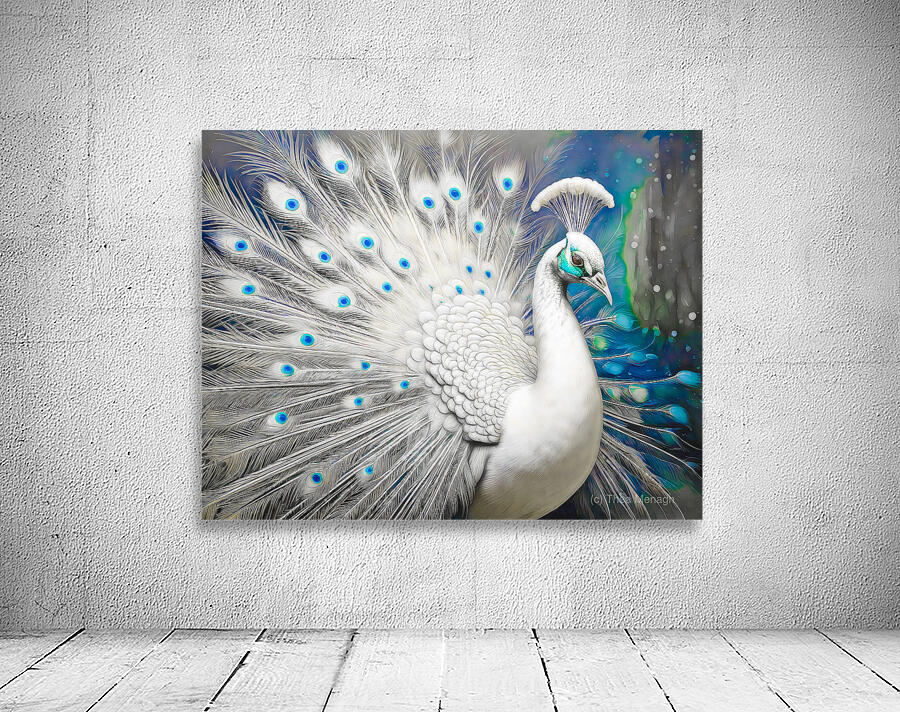 Leucistic Indian Peafowl  Wall Preview