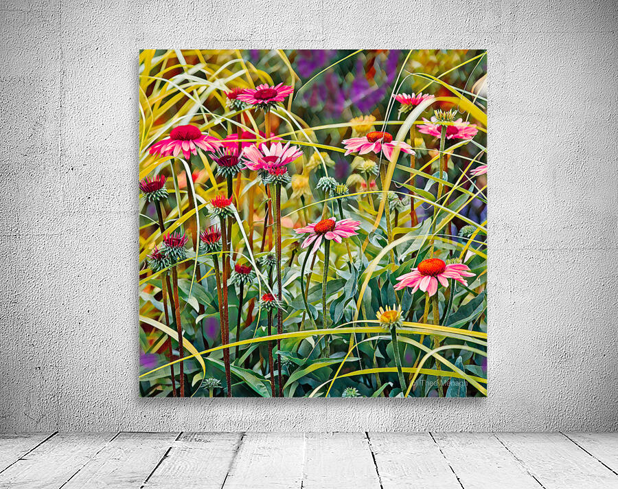 Blooming Echinacea Wall Preview