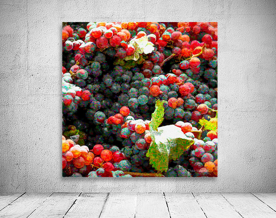 Grapes Just Picked Wall Preview
