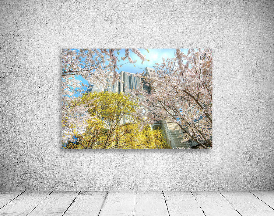 John Roberts Library Cherry Trees Wall Preview