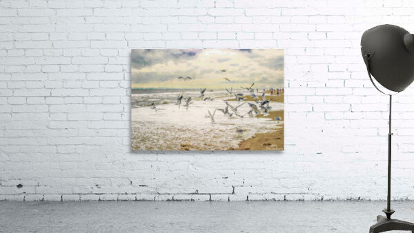Screeching Seagulls Wall Preview