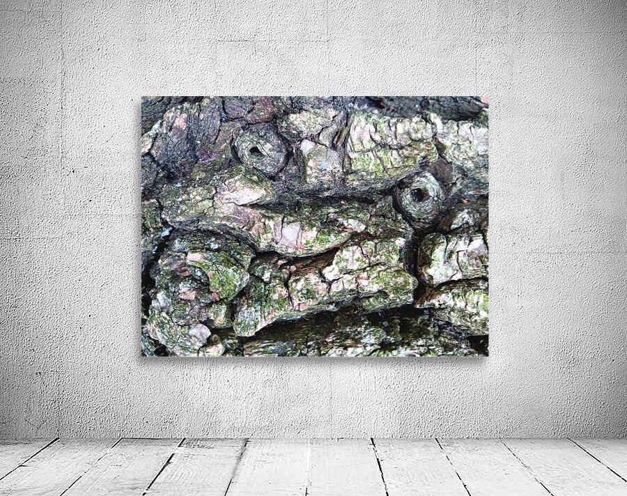 Bark Looks Like a Toad Wall Preview