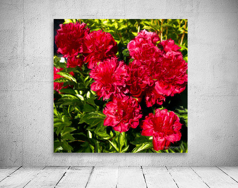 Deep Red Peonies Wall Preview