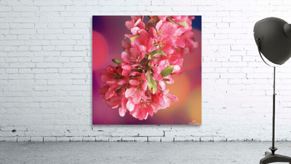 Pink Cherry Blossoms Wall Preview