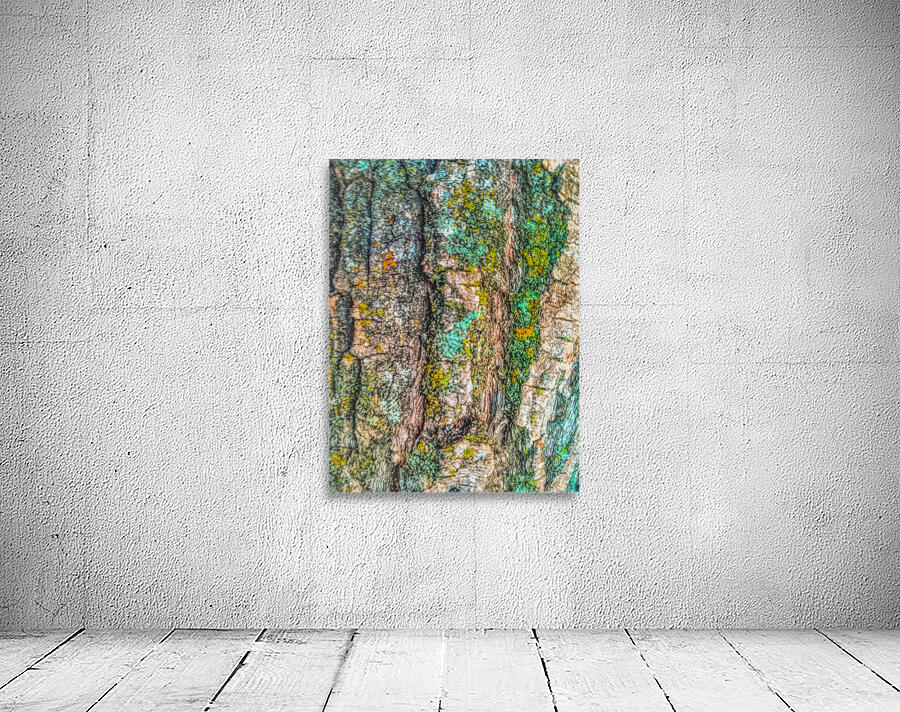 Beautiful Tree Bark Wall Preview
