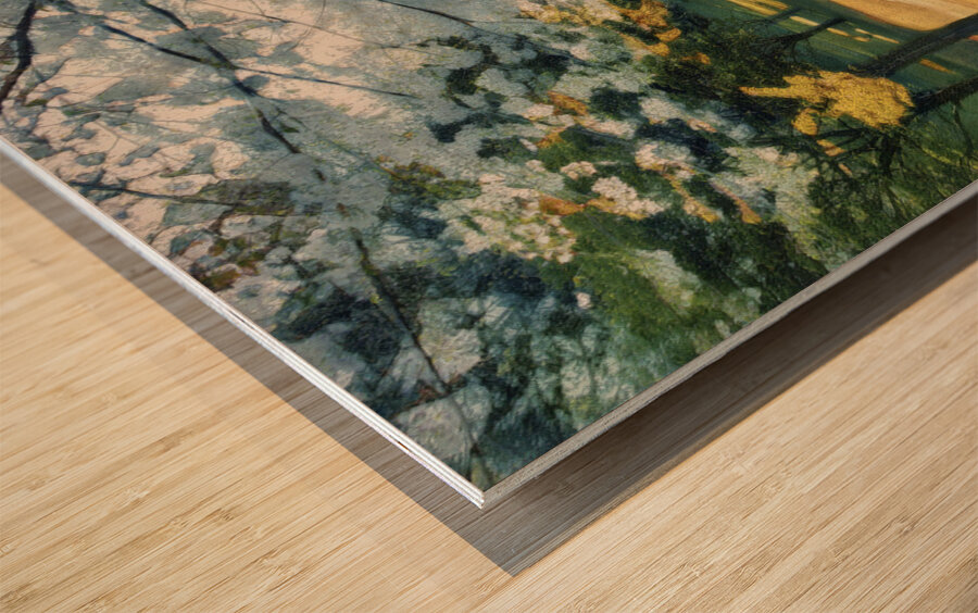 Spring in High Park Toronto Wood print