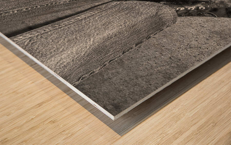 Could be Charlie Wood print