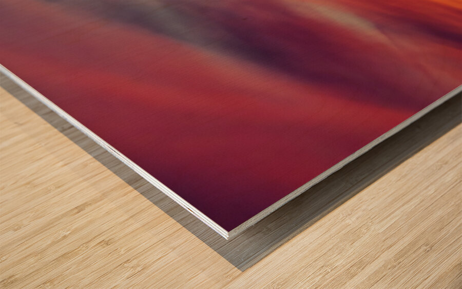 Glow On a Little Longer Wood print