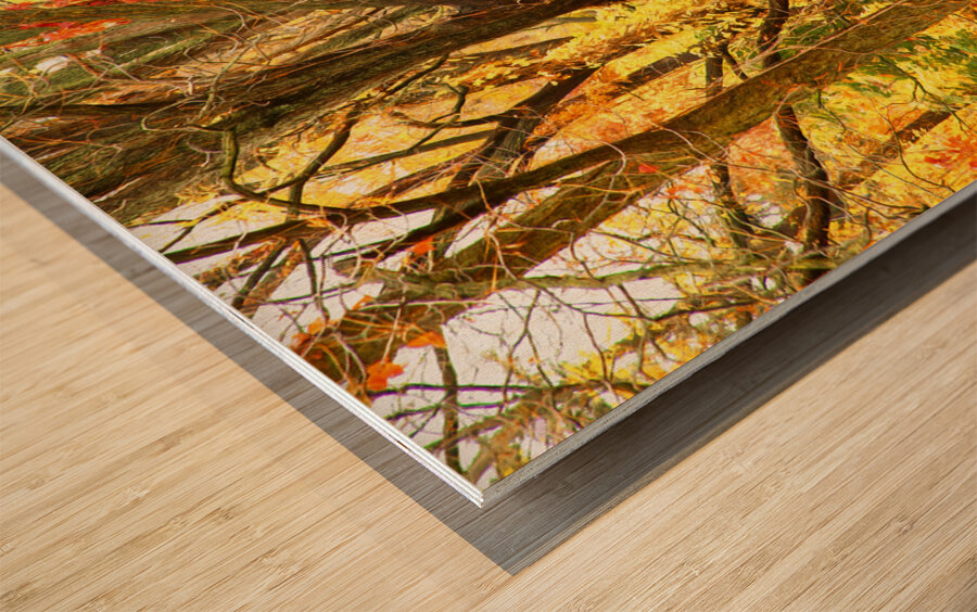 Strangled by Vines Wood print