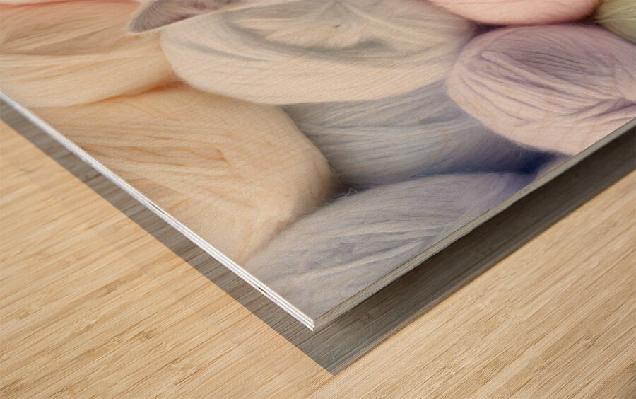 Kitten in Balls of Soft Angora  Wood print