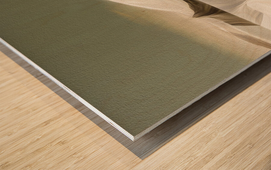 Icebergs Above and Beneath Wood print