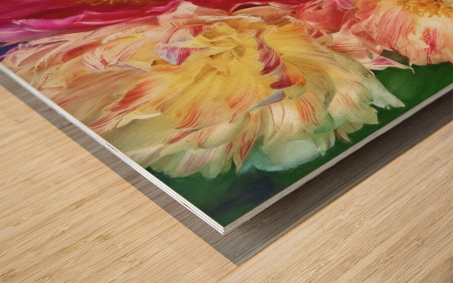 Soft As a Cloud Peonies Wood print