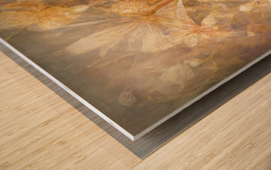 Soft and Translucent Petals Wood print