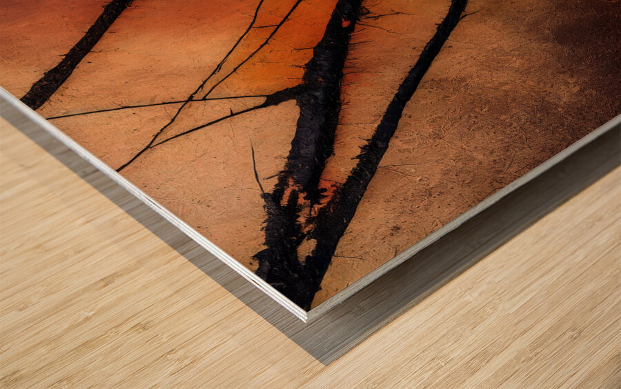 Bare Branches at Sundown Impression sur bois