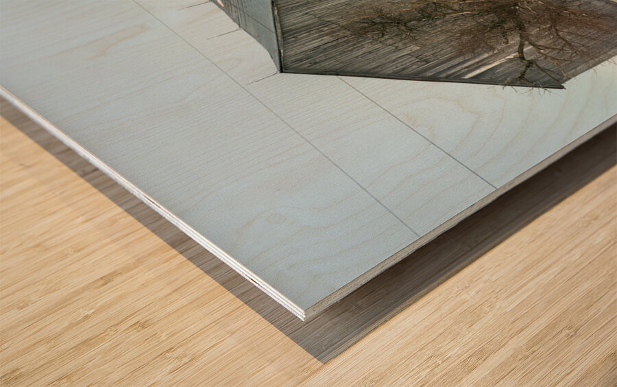 SOME POWERFUL PATCHING Impression sur bois