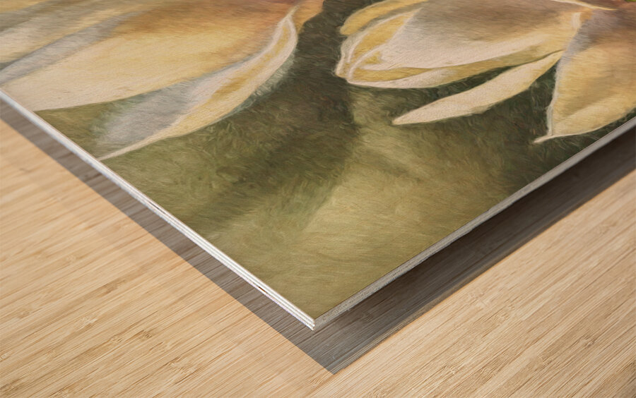 Magnolias Wood print