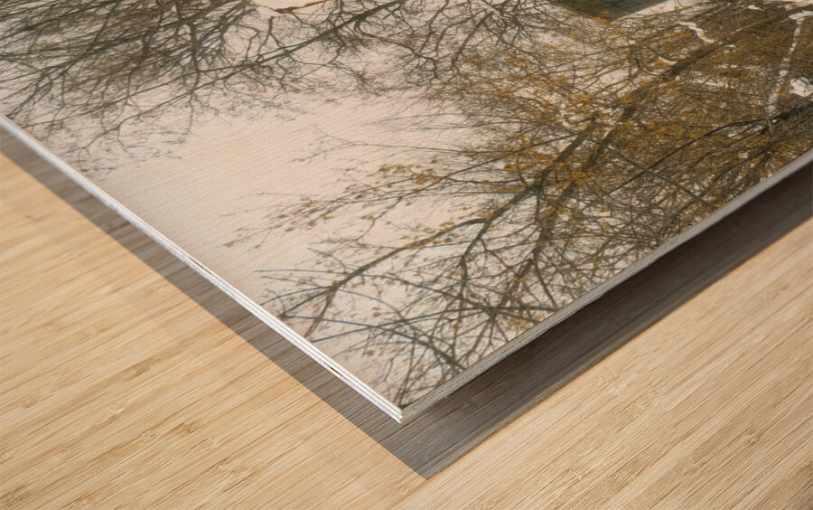 Yellow House Where Leroy Lived Wood print