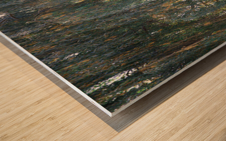 Weeping Willow Near a Stream Wood print