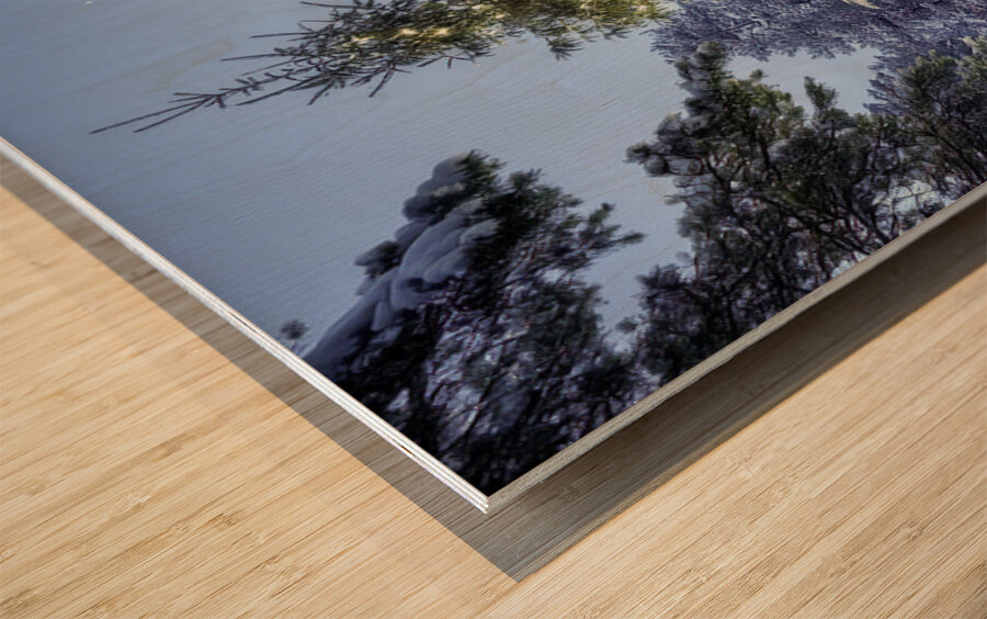 Gifts Under the Tree Wood print