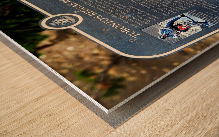 Torontos Raggae Roots Wood print
