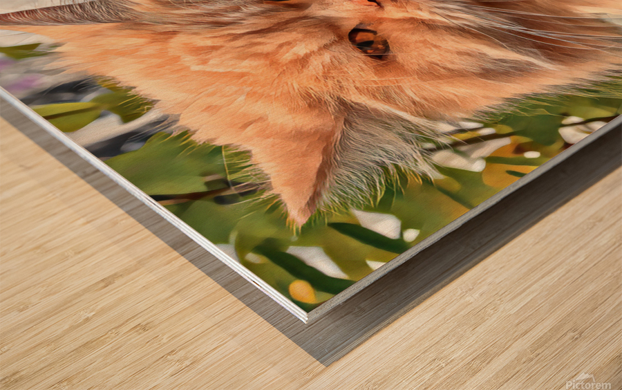 Just Look at that Face Wood print