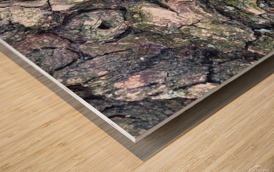 Bark Looks Like a Toad Wood print