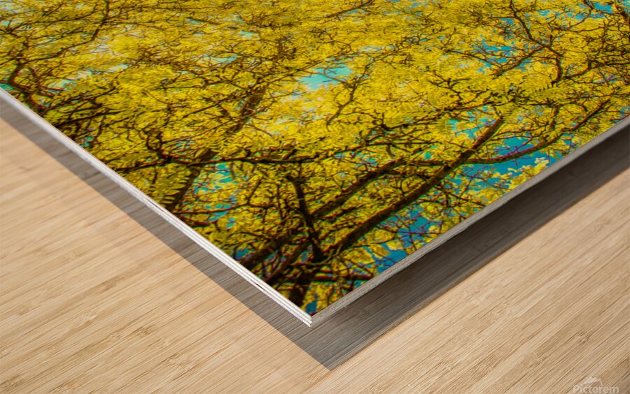 Love that Spring Green  Wood print