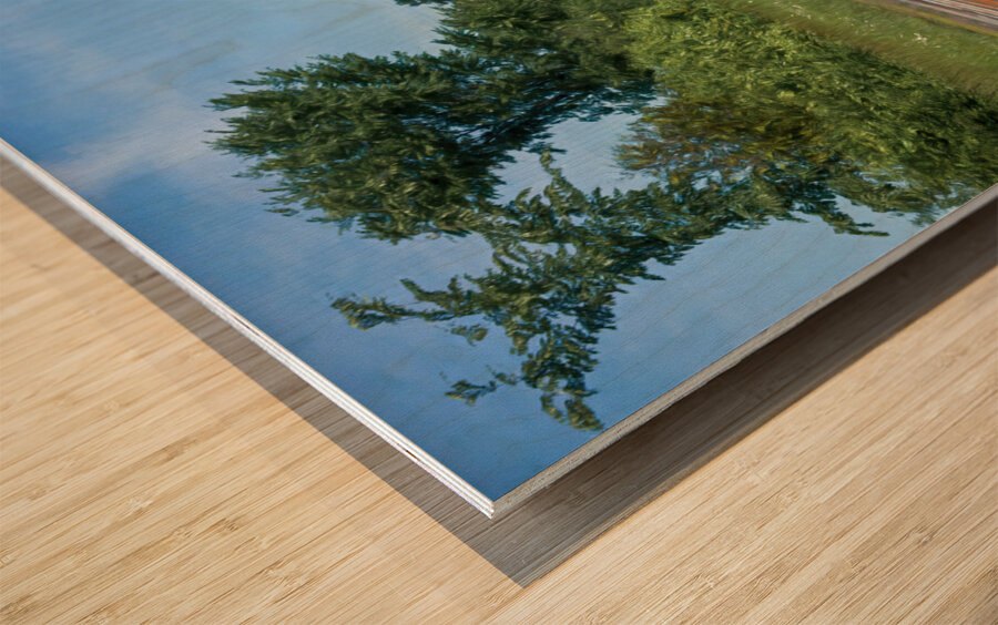 Somebody Seems Happy Impression sur bois