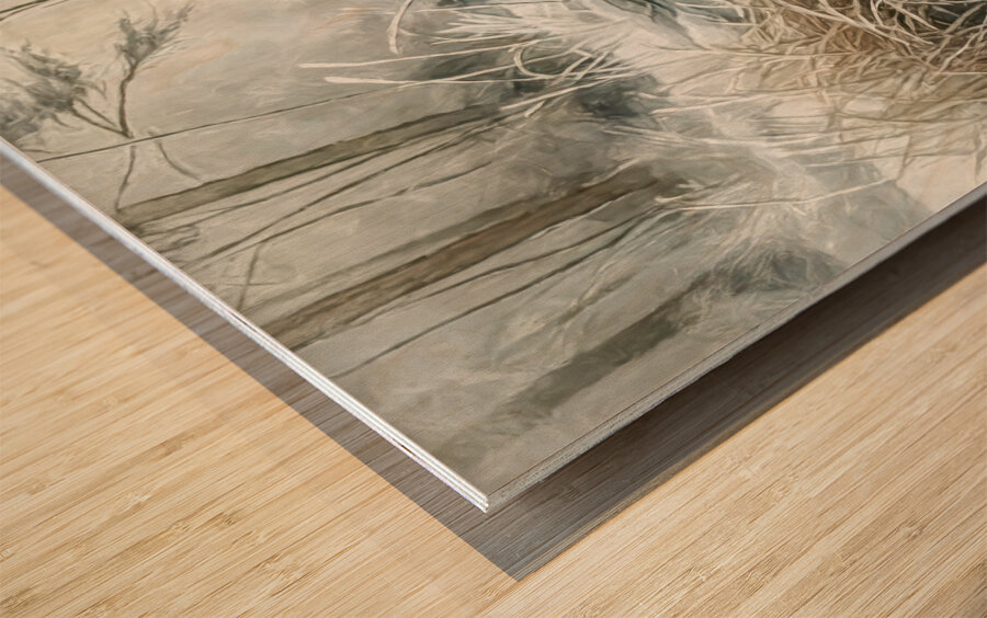 Winterland in the Ponds and Marshes Wood print