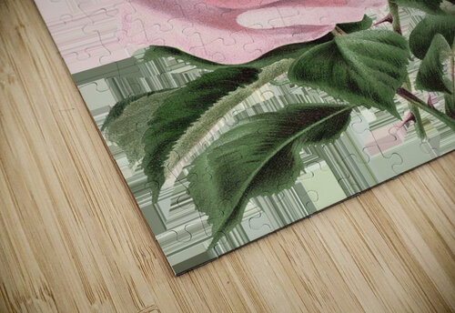 Light Pink Roses Ryannico Designs puzzle