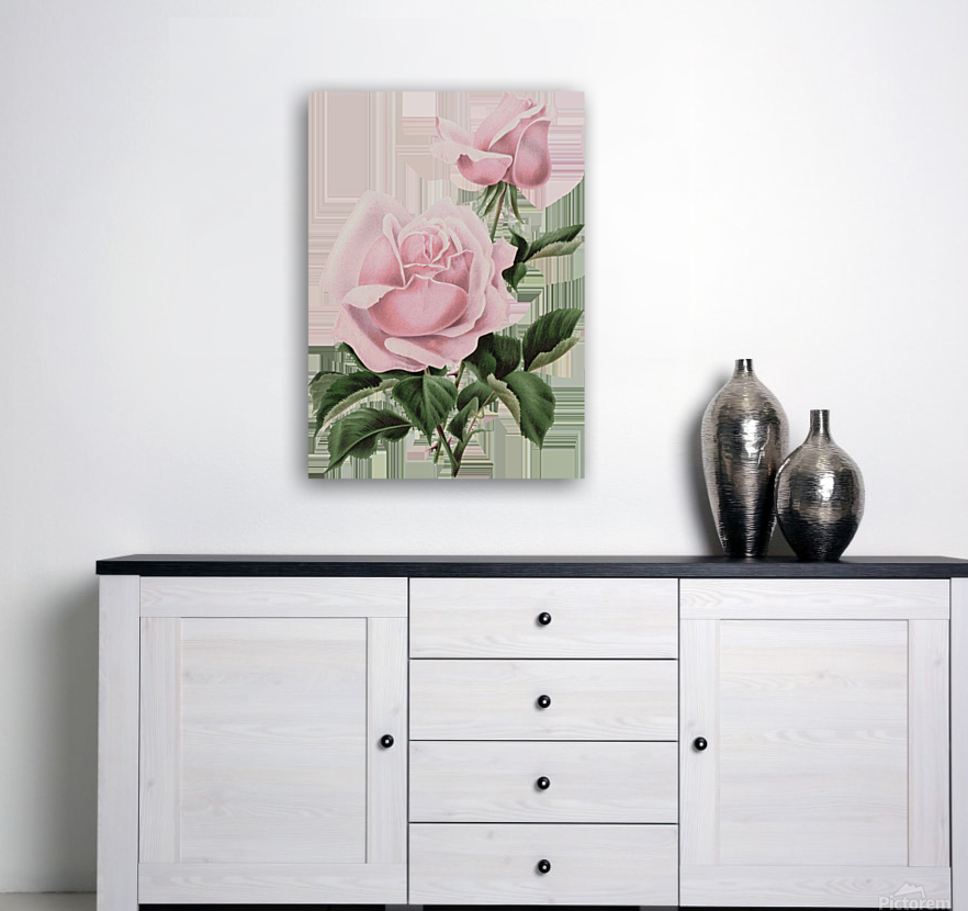 Light Pink Roses Reproduction