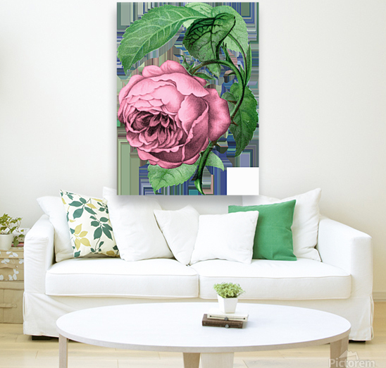 Rose Art Reproduction
