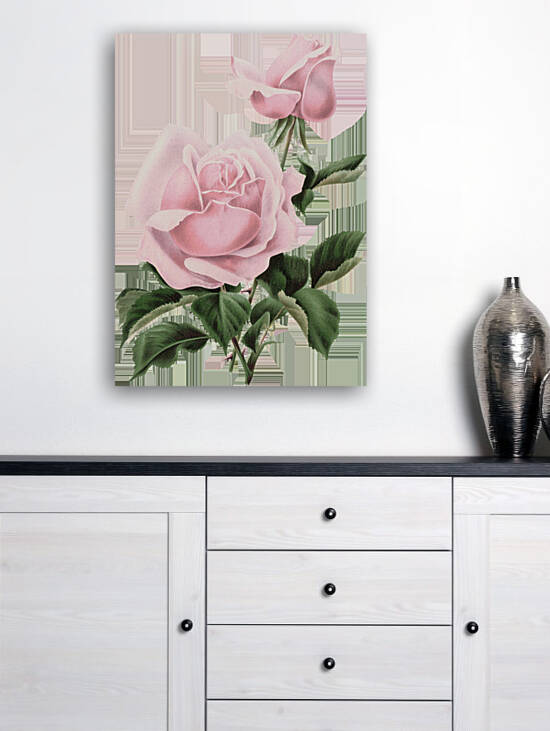 Light Pink Roses Reproduction