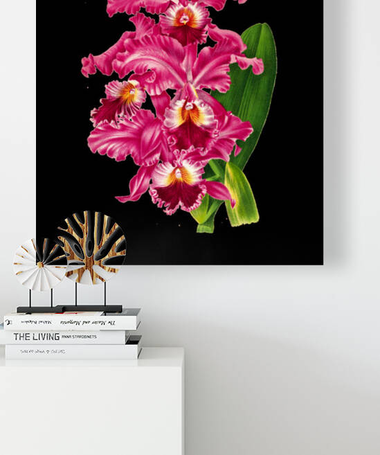 Mauve Flowers Reproduction