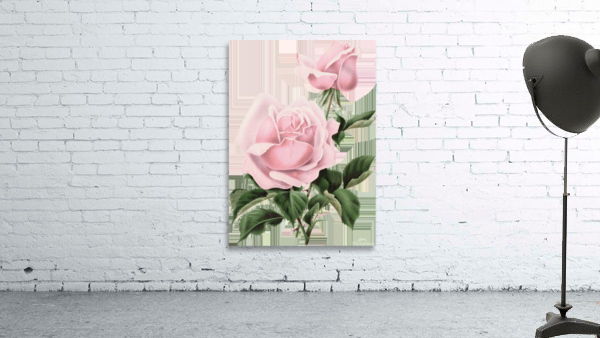 Light Pink Roses Wall Preview