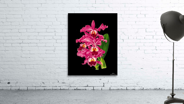 Mauve Flowers Wall Preview