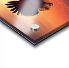 Fish Eagle flying above clouds Acrylic print