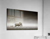 Elephant with zebra (Artistic processing) Acrylic Print