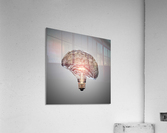 Light Bulb Brain Acrylic Print