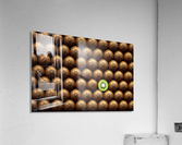 Sliced kiwi between group Acrylic Print