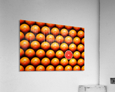 Grapefruit slice between group Acrylic Print