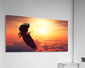 Fish Eagle flying above clouds Acrylic Print