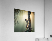 Baby Baboon in tree Acrylic Print